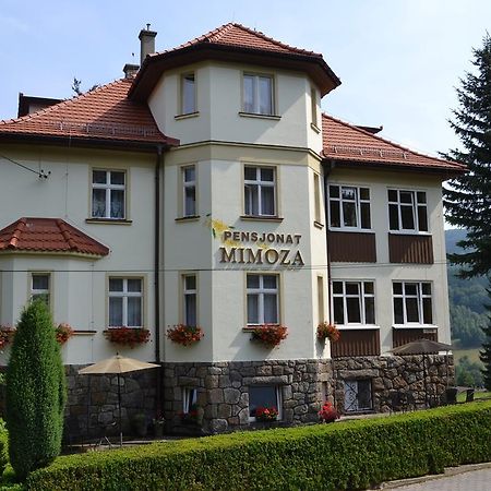 Pensjonat Mimoza Świeradów-Zdrój Extérieur photo